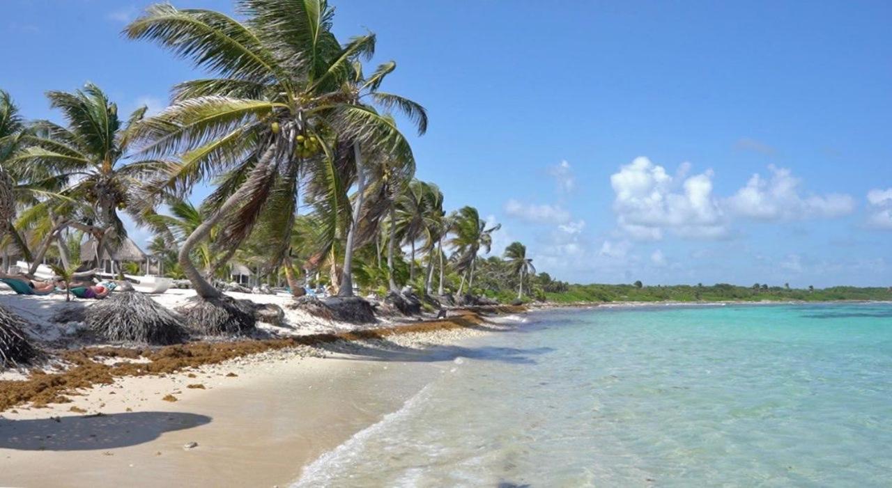 Cabanas Ecoturisticas Costa Maya Mahahual Dış mekan fotoğraf