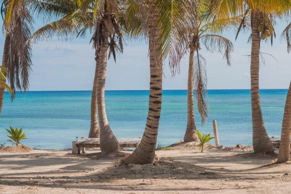 Cabanas Ecoturisticas Costa Maya Mahahual Dış mekan fotoğraf