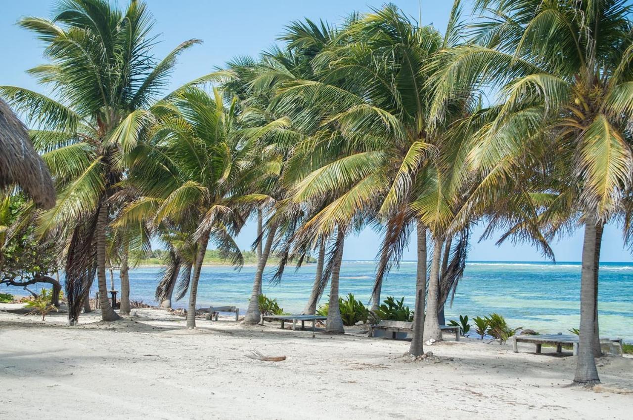 Cabanas Ecoturisticas Costa Maya Mahahual Dış mekan fotoğraf